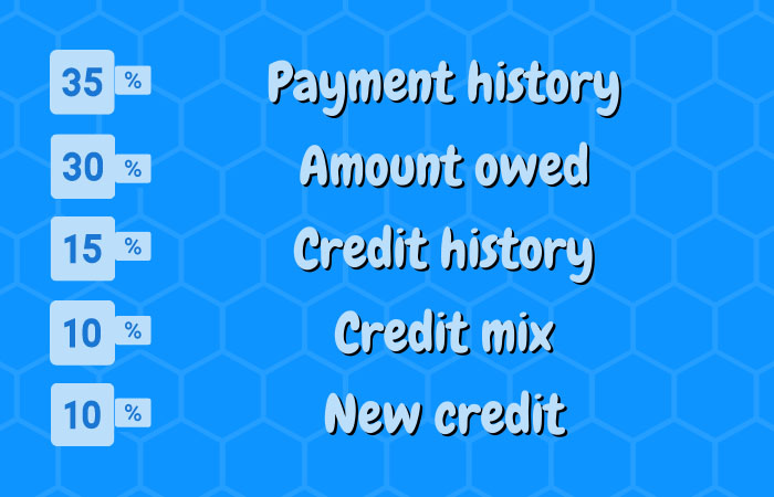 Credit Score Factors