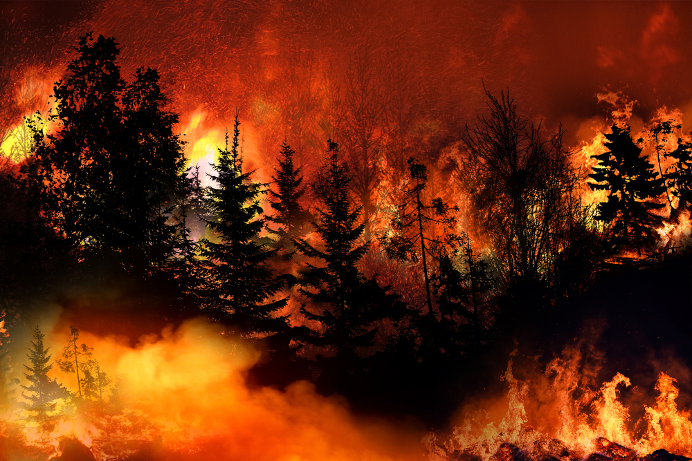 The Growing Problem Of US Wildfires